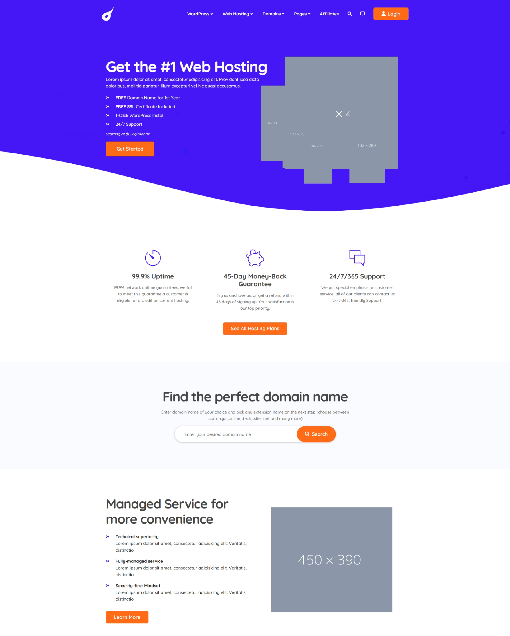 主机租用域名托管提供商