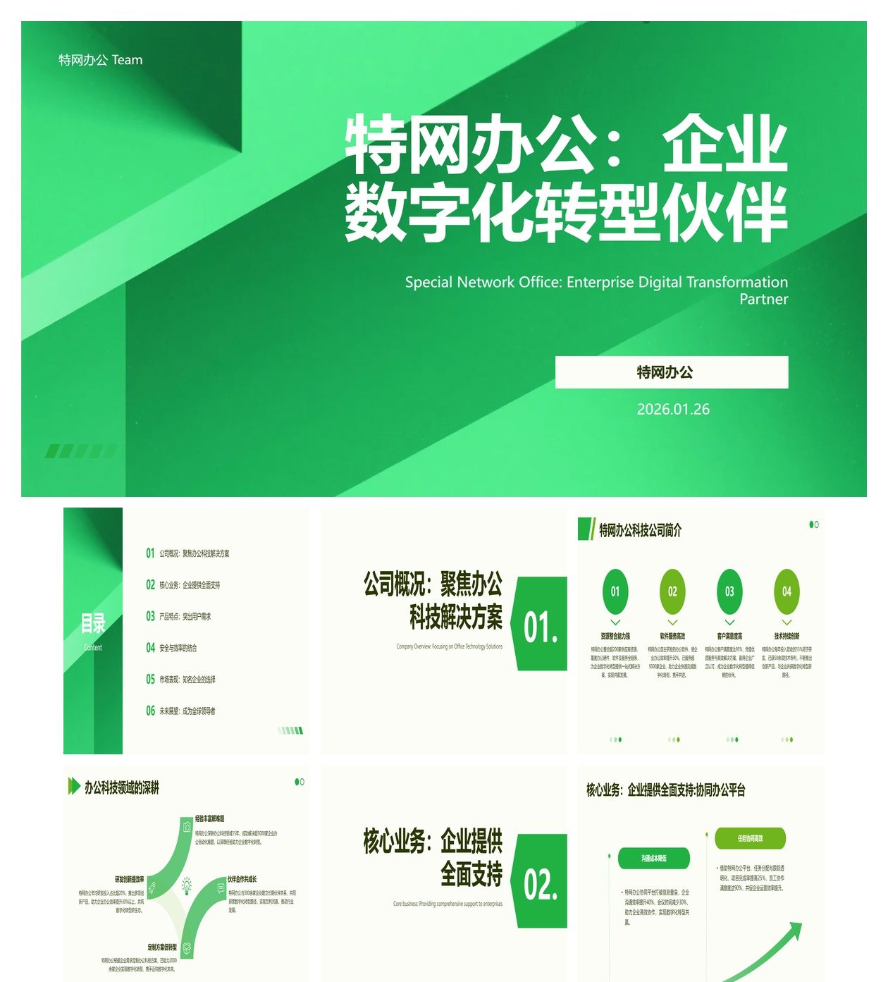 公司介绍 解决方案